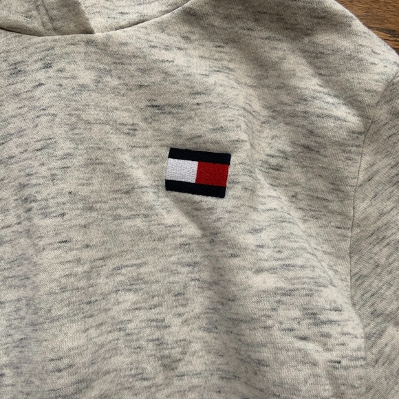 ++2/$35++Tommy Hilfiger Hoodie - Picture 2 of 3